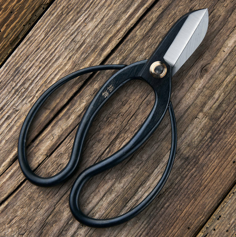 fca11aec92922968ae094457edf36518