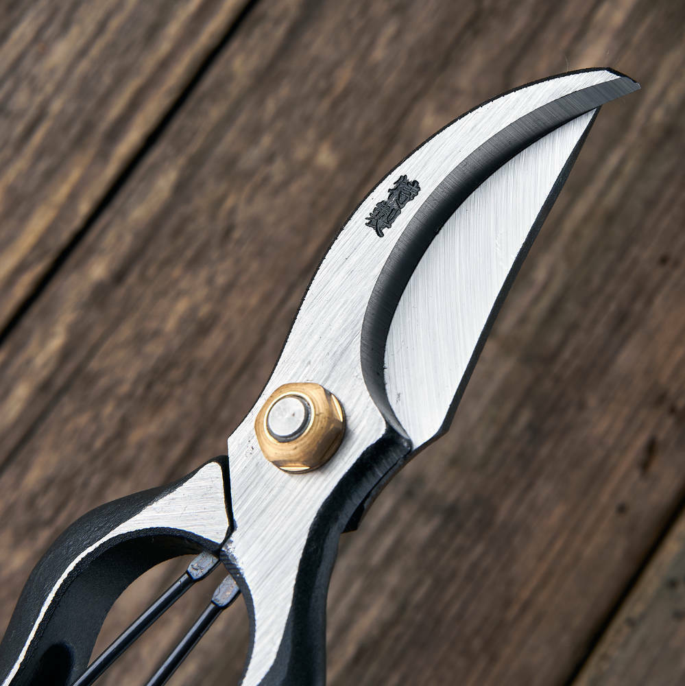 da045198f37a502edfabf11769717010