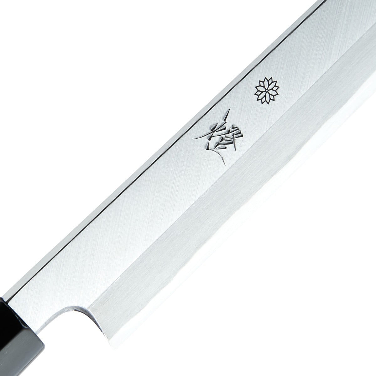 0fc6035d94bbff4c5e44bc8e5b2e4570