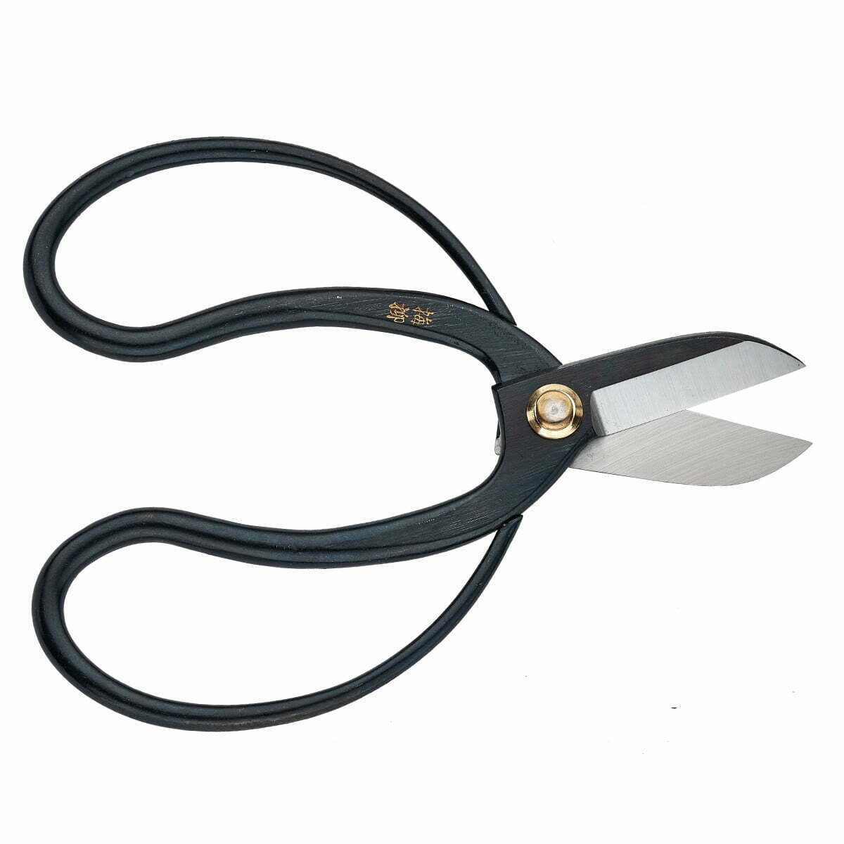 096ce5c0468025e55f713dd174e13508