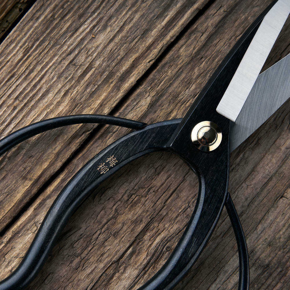 172dacead62153a01e62e39b44e25032