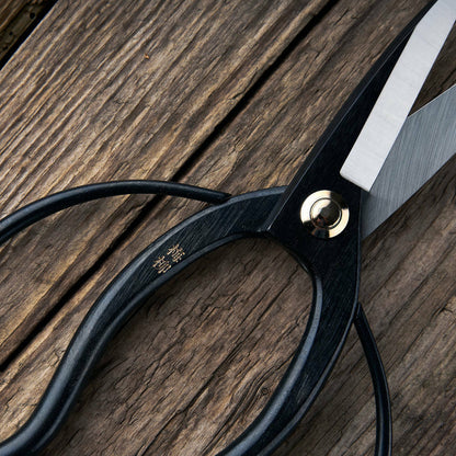 172dacead62153a01e62e39b44e25032