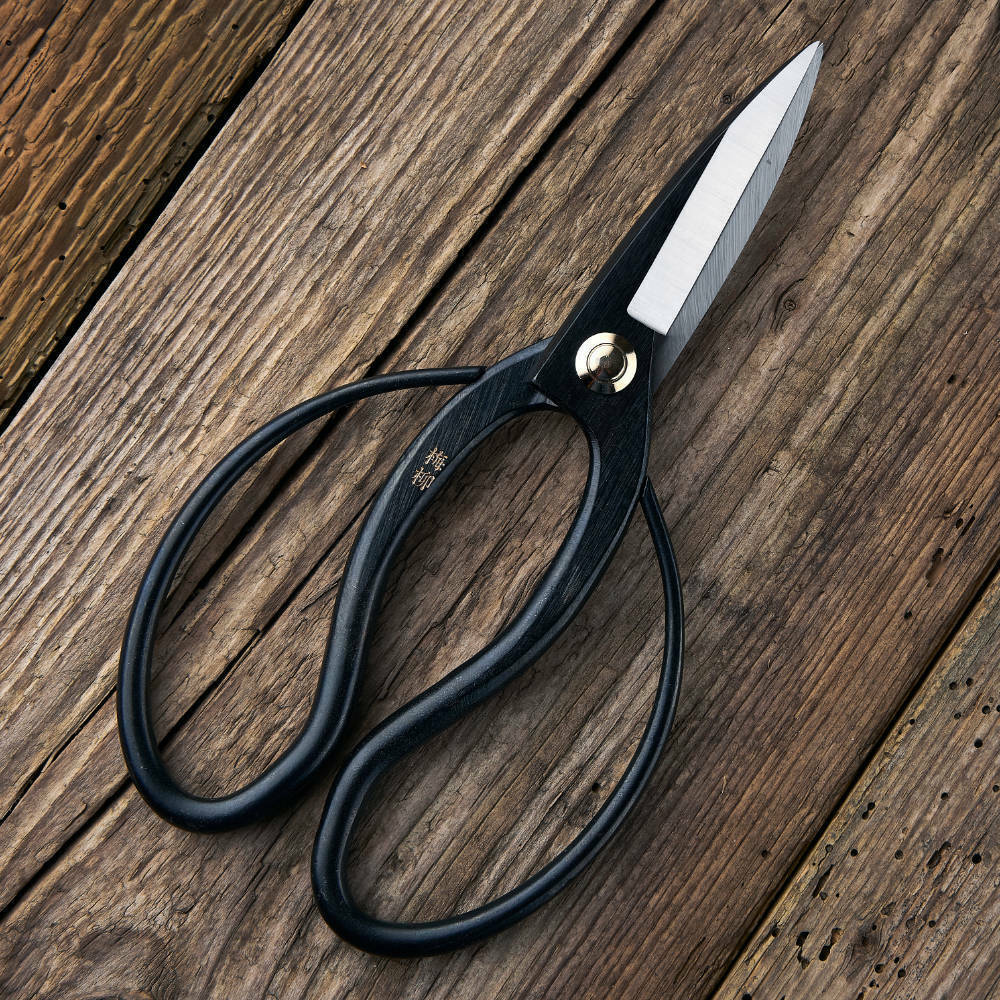 b6e2bc717f24bb3a916e1a5235192642