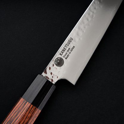 a5e389a97cbdd9a12fe32a70ec61a785